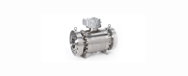 Truunion Ball Valves Fittings